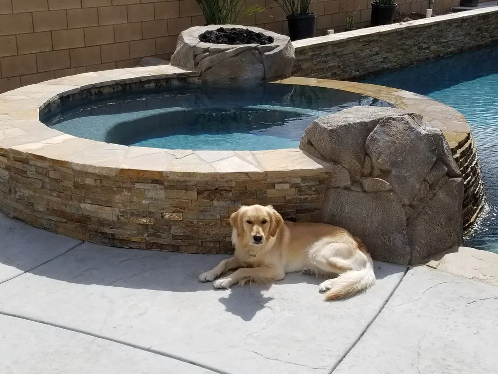 Affordable lawn care service experts serving Winchester, CA - SC Pools & Landscapes