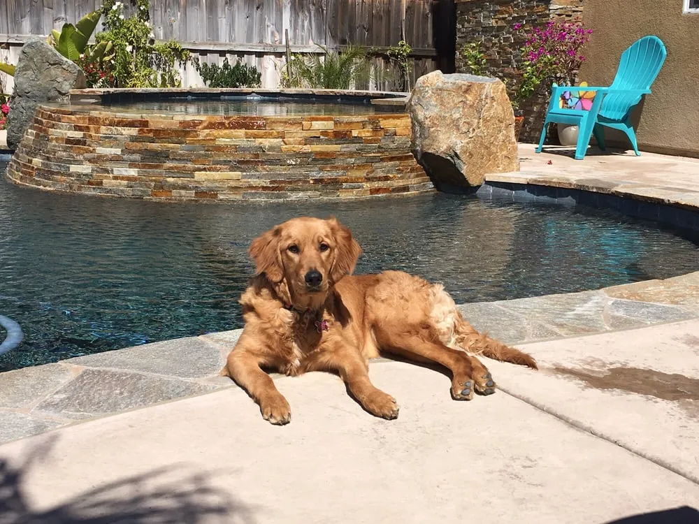 Professional yard maintenance in Winchester, CA - SC Pools & Landscapes