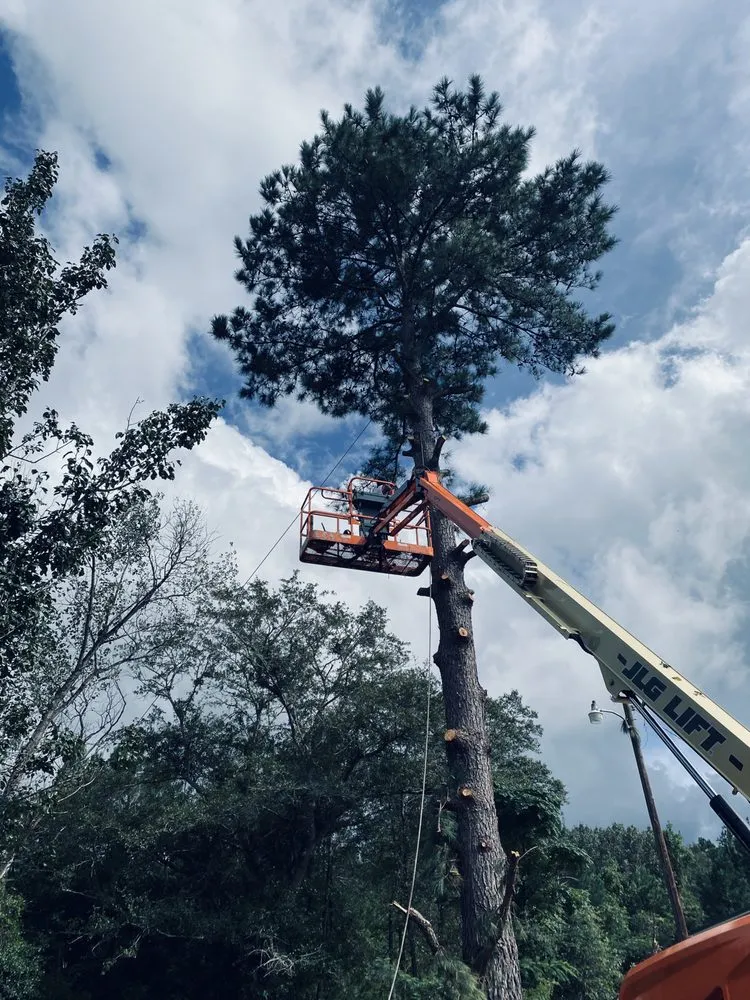 Affordable landscape design for homes in Hardeeville, SC by SC Property Solutions