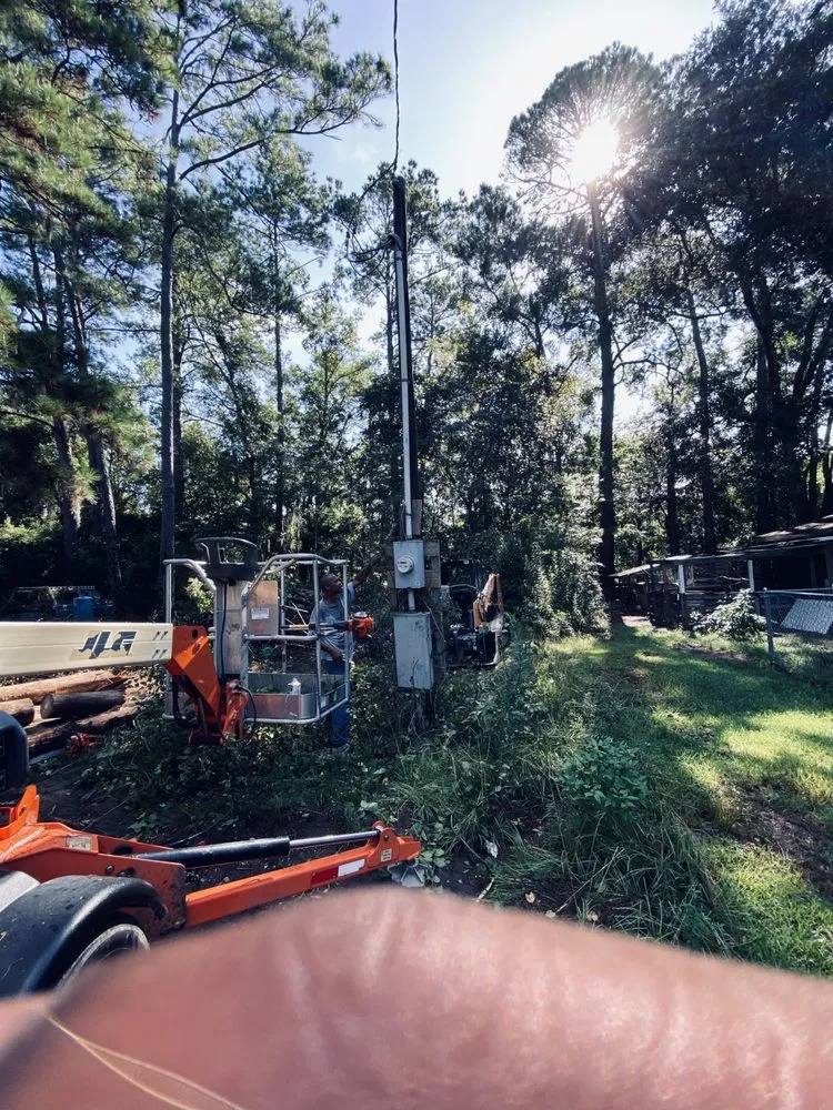 Custom yard cleanup service in Hardeeville, SC - SC Property Solutions