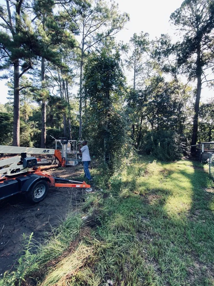 Trusted lawn care service in Hardeeville, SC by SC Property Solutions