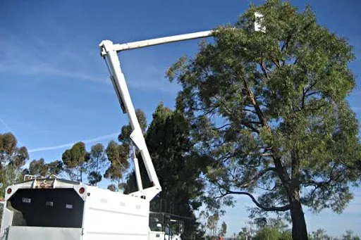 Trusted yard maintenance experts serving Hardeeville, SC - SC Property Solutions