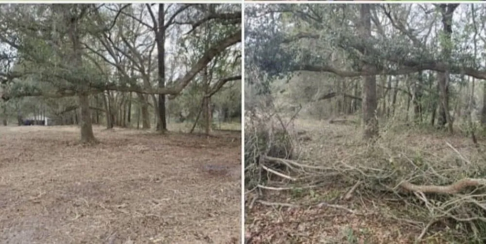 Local lawn care service for homes across Hardeeville, SC - SC Property Solutions