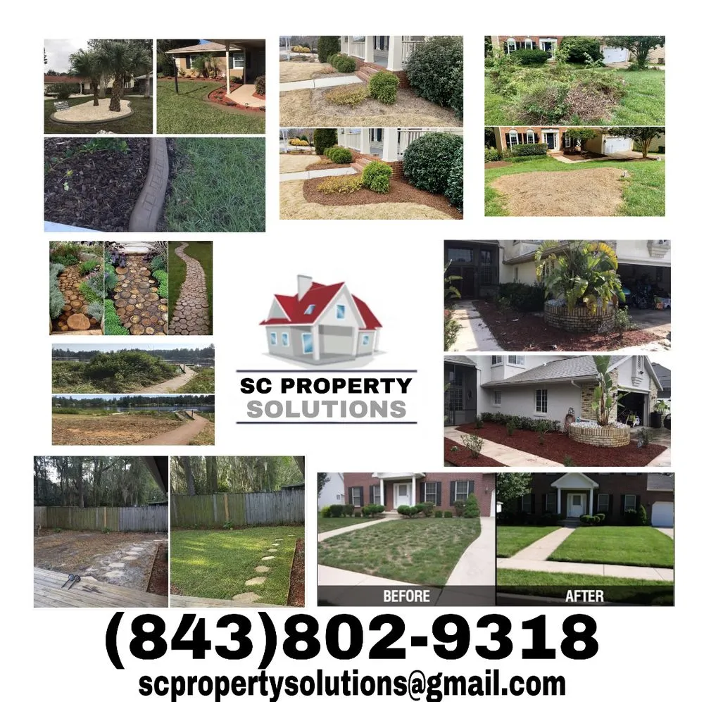 Professional landscape installation for beautiful yards in Hardeeville, SC by SC Property Solutions
