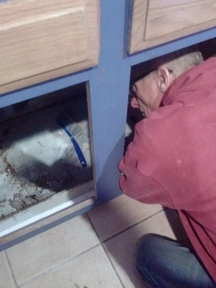 Expert residential landscaping in Little River, SC by S&C Remodeling