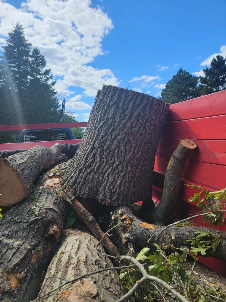 Affordable landscaping services for homes in Oscoda, MI by S&C Services