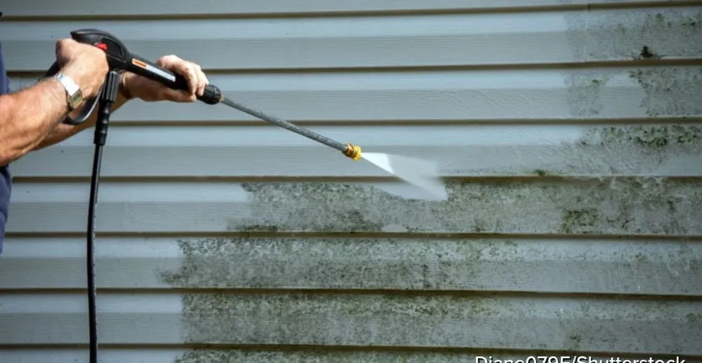 Professional landscape design in Fort Mill, SC by SC Solutions Pressure Washing