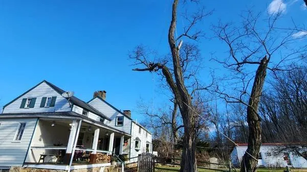 Affordable landscape installation in Bushkill, PA by SC Tree & Landscape