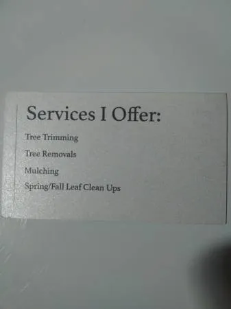 Professional yard cleanup service in Bushkill, PA - SC Tree & Landscape