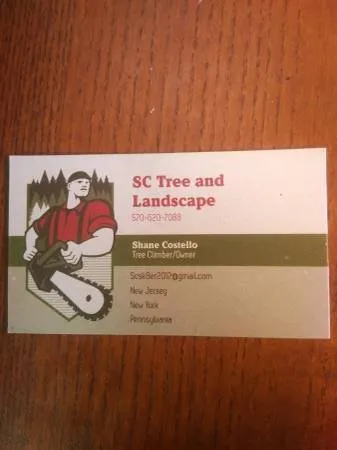 Custom lawn mowing service for beautiful yards across Bushkill, PA - SC Tree & Landscape