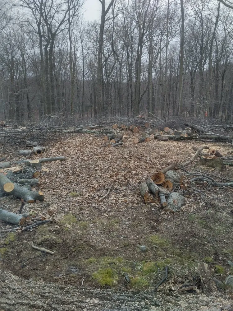 Custom lawn mowing service in Bushkill, PA - SC Tree & Landscape