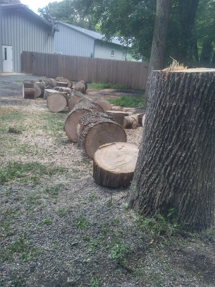 Top-rated lawn mowing service for homes in Bushkill, PA by SC Tree & Landscape