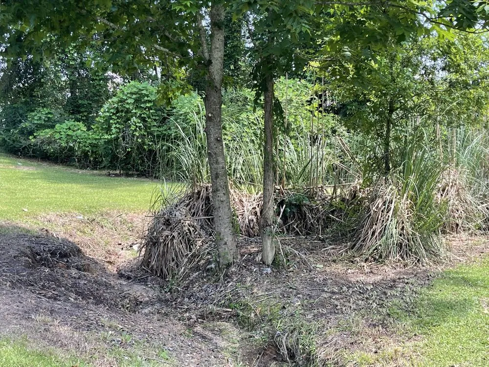 Top-rated outdoor landscaping for residential properties in Laurel, MS by S&C Yard Pros