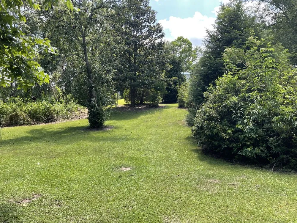 Top-rated residential landscaping for residential properties across Laurel, MS - S&C Yard Pros