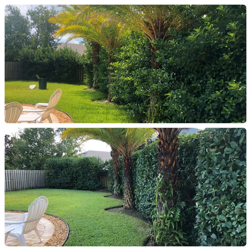 Local landscape design for outdoor upgrades across Saint Augustine, FL - Scales Lawn Service