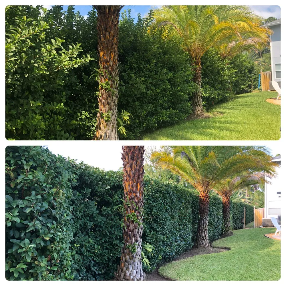 Professional landscape design in Saint Augustine, FL - Scales Lawn Service