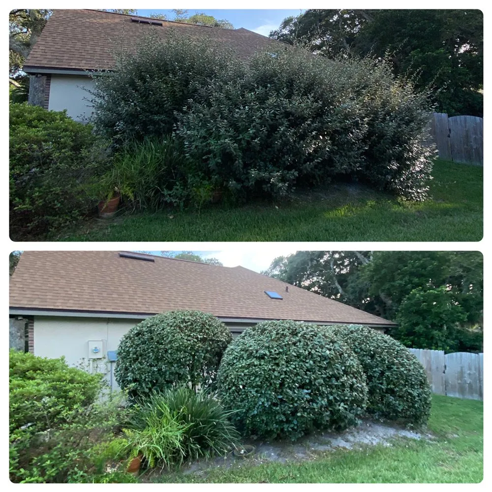 Top-rated residential landscaping in Saint Augustine, FL by Scales Lawn Service