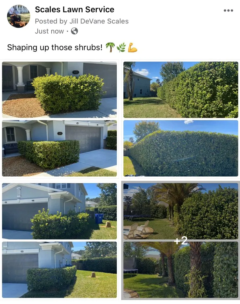 Professional garden landscaping in Saint Augustine, FL - Scales Lawn Service