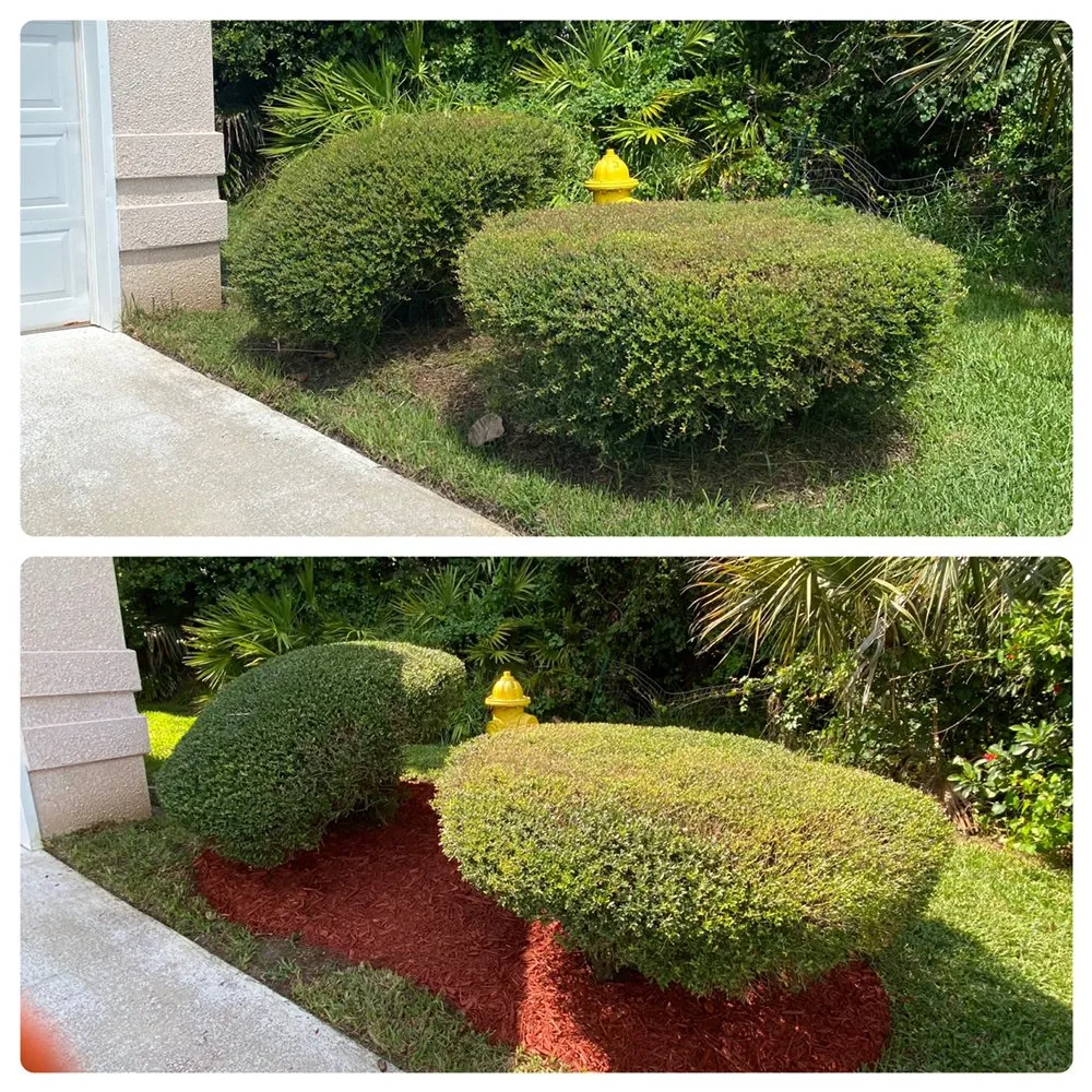 Affordable landscaping services in Saint Augustine, FL - Scales Lawn Service