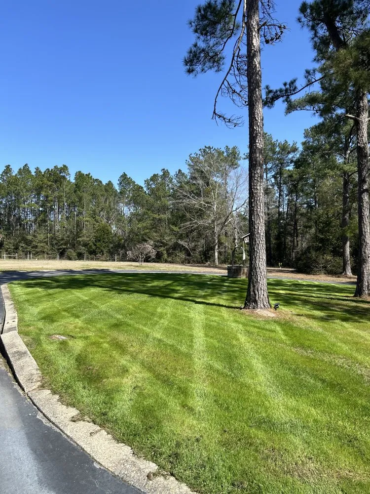 Expert lawn mowing service in Crestview, FL by Scali's Projects