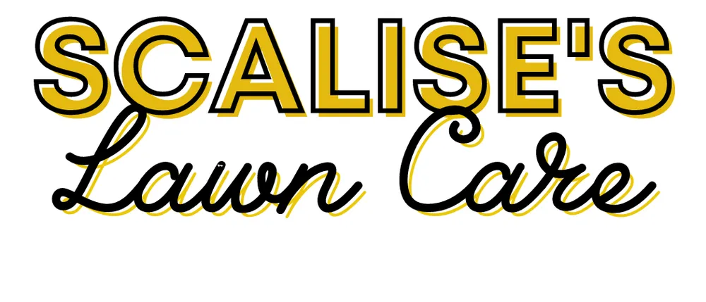 Custom outdoor landscaping experts serving Saint Louis, MO - Scalise’s Lawn Care