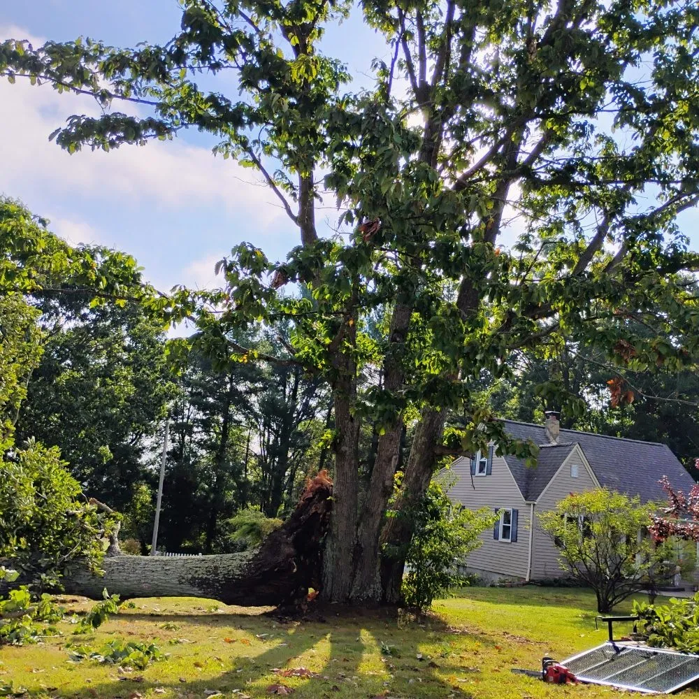 Professional landscape installation with custom design in Chatham, VA by Scalla