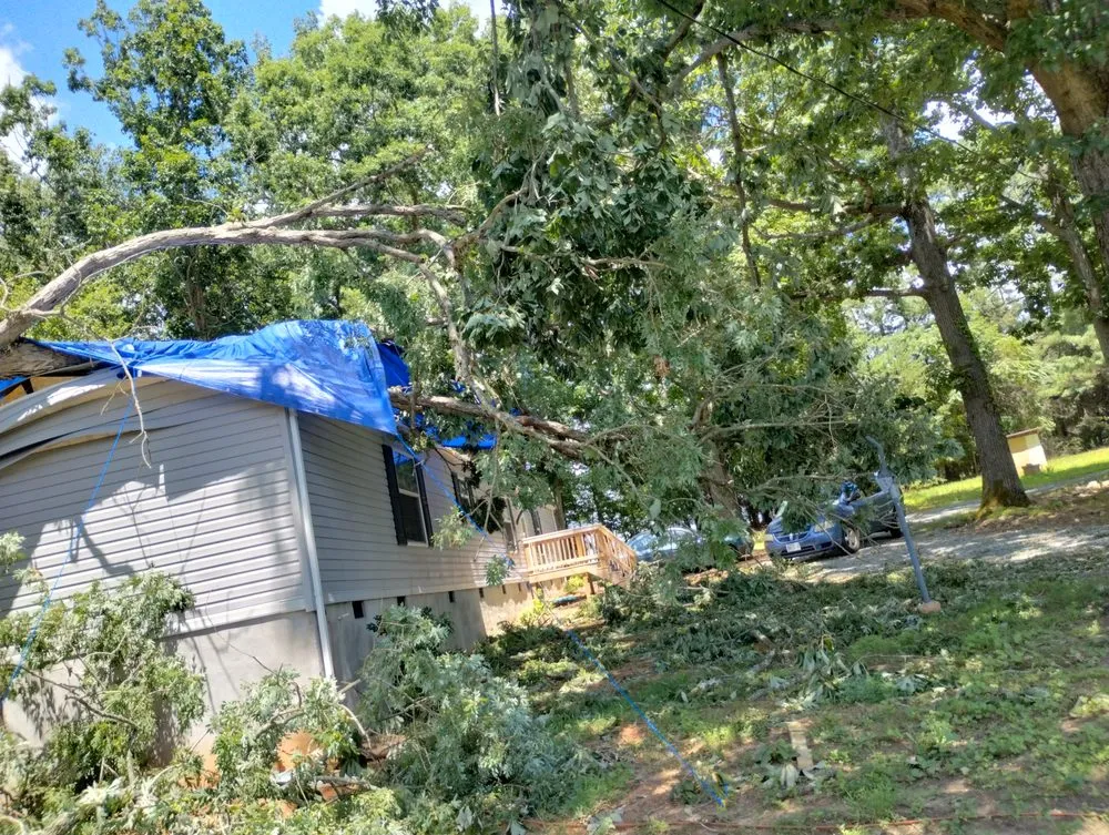 Affordable lawn mowing service for beautiful yards in Chatham, VA by Scalla