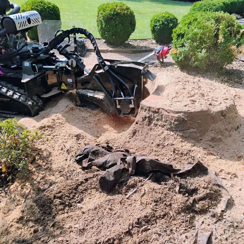 Custom outdoor landscaping for outdoor upgrades across Chatham, VA - Scalla