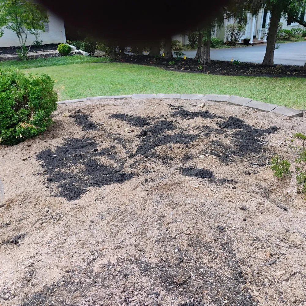 Trusted lawn care service in Chatham, VA by Scalla