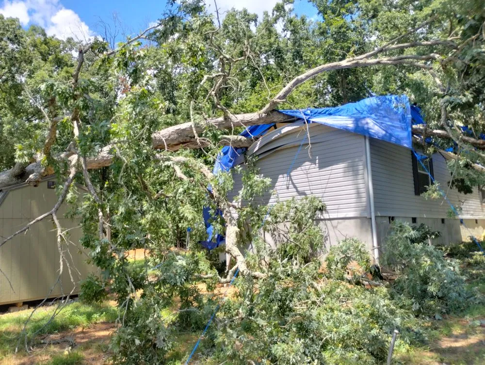 Professional yard cleanup service for year-round maintenance across Chatham, VA - Scalla