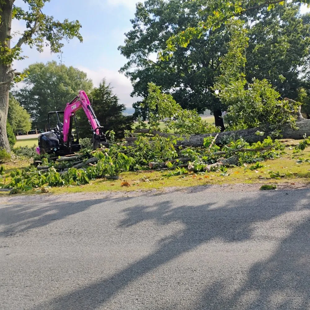 Reliable residential landscaping for beautiful yards across Chatham, VA - Scalla