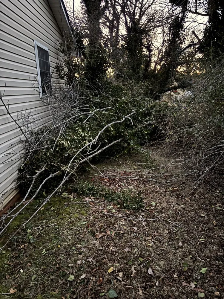 Top-rated garden landscaping experts serving Chatham, VA - Scalla