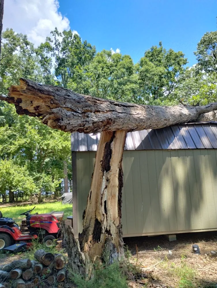 Professional landscaping services in Chatham, VA - Scalla