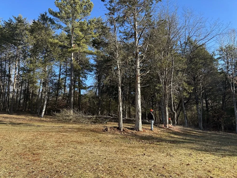 Affordable landscaping services in Chatham, VA by Scalla