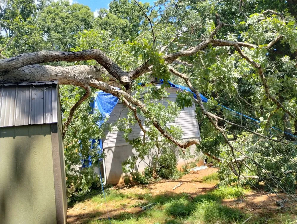 Affordable outdoor landscaping near you across Chatham, VA - Scalla