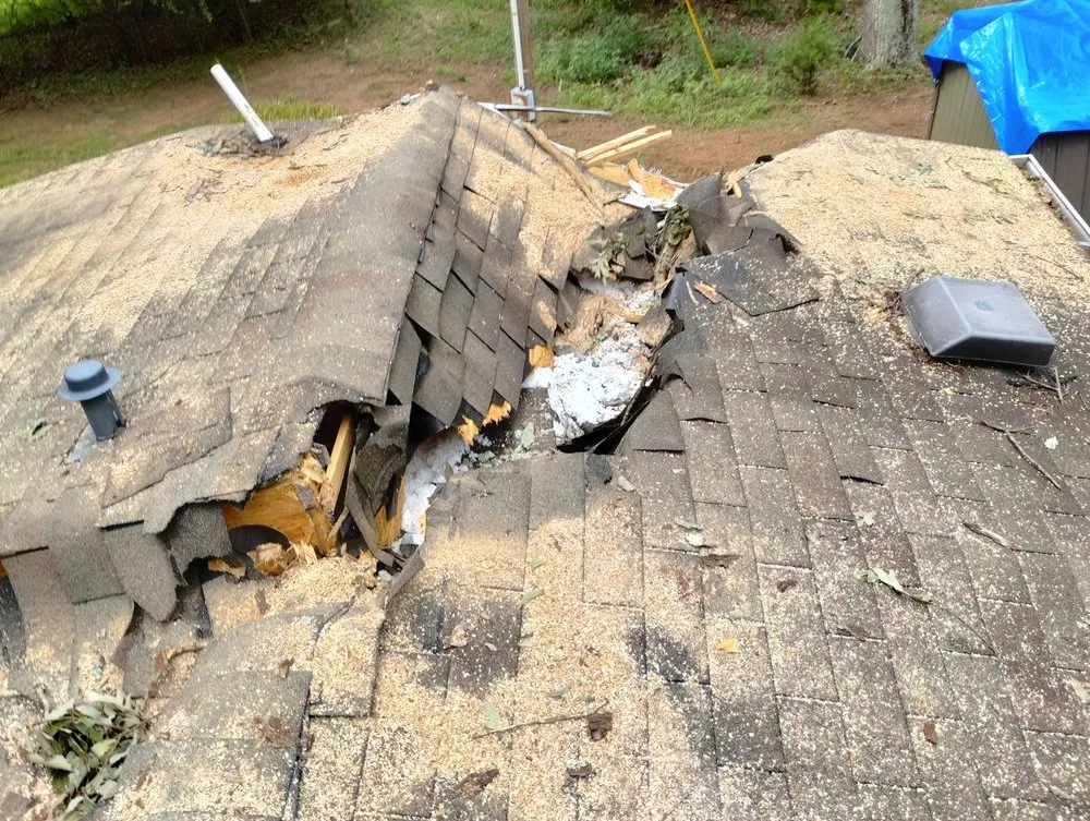 Local residential landscaping for year-round maintenance across Chatham, VA - Scalla