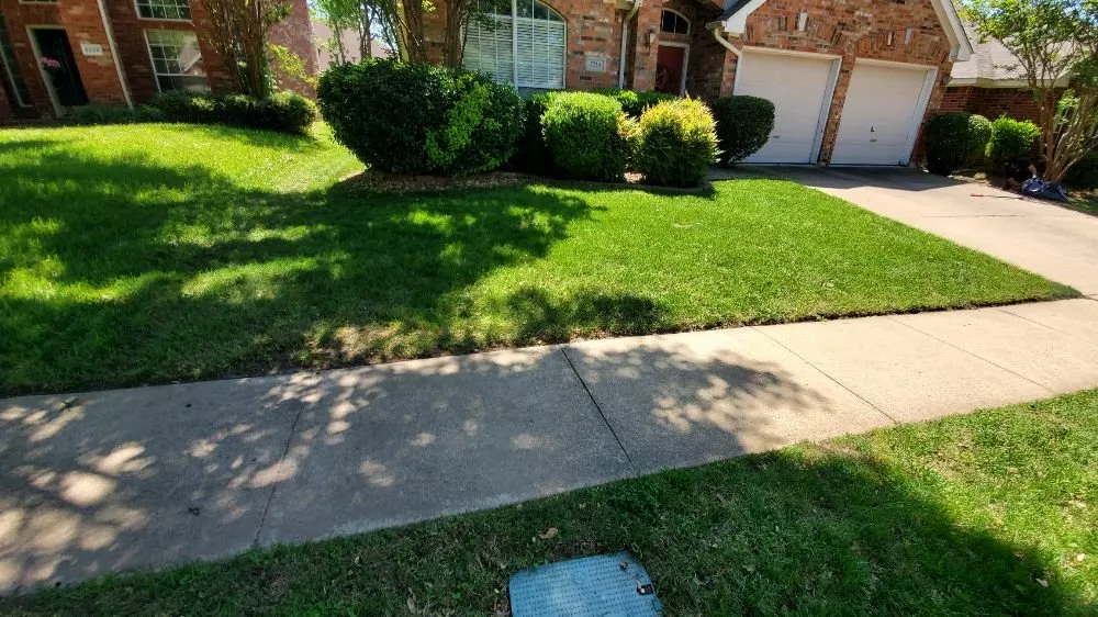 Local lawn care service for homes in River Oaks, TX by Scallion Landscaping