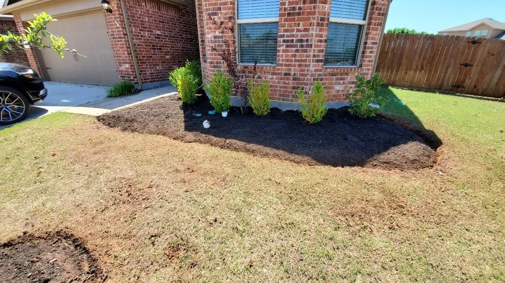Trusted lawn care service in River Oaks, TX - Scallion Landscaping