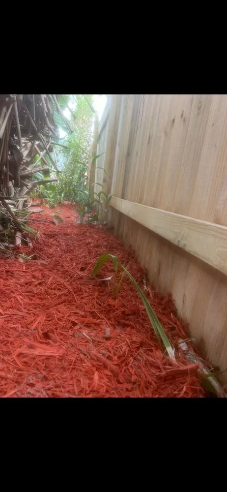 Reliable landscaping services for beautiful yards in Edgewater, FL by Scalora Landscaping