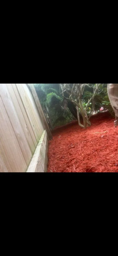 Trusted yard maintenance in Edgewater, FL by Scalora Landscaping