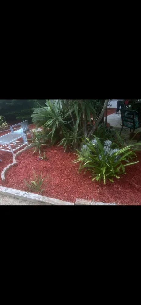 Expert landscape installation for year-round maintenance in Edgewater, FL by Scalora Landscaping
