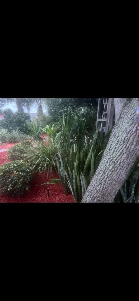 Professional outdoor landscaping for outdoor upgrades in Edgewater, FL by Scalora Landscaping