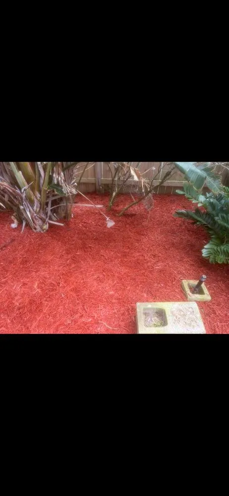 Trusted yard maintenance near you in Edgewater, FL by Scalora Landscaping