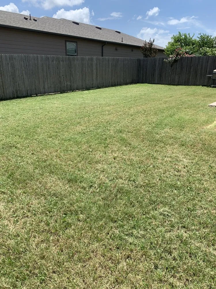 Affordable lawn mowing service experts serving Temple, TX - Scalpel Lawn Service