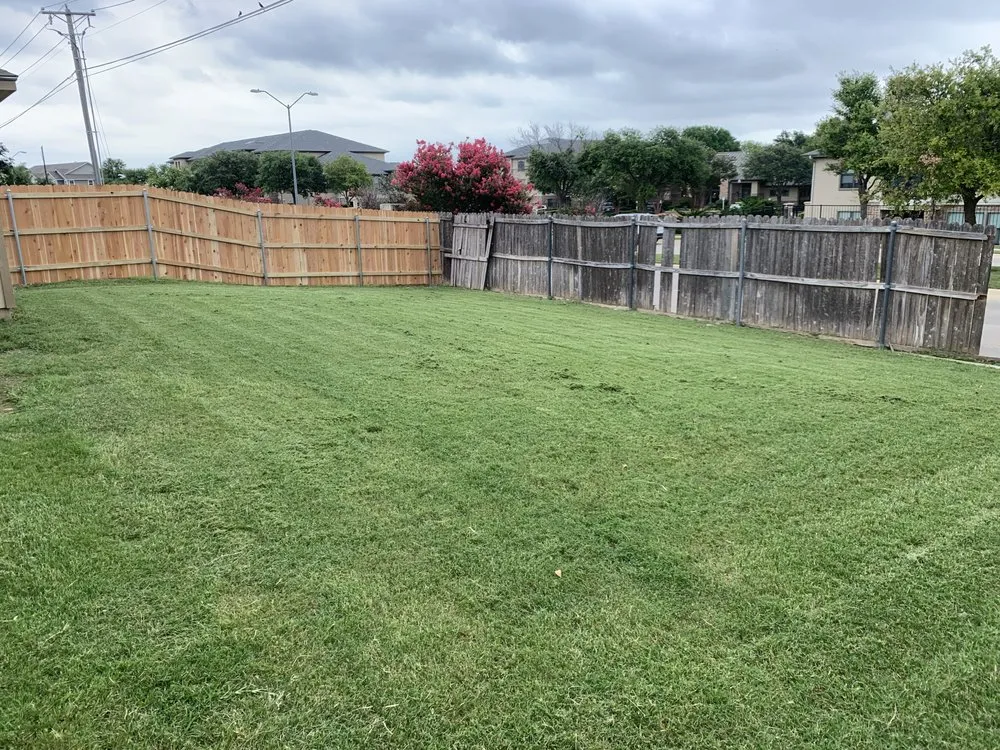 Top-rated landscaping services in Temple, TX by Scalpel Lawn Service