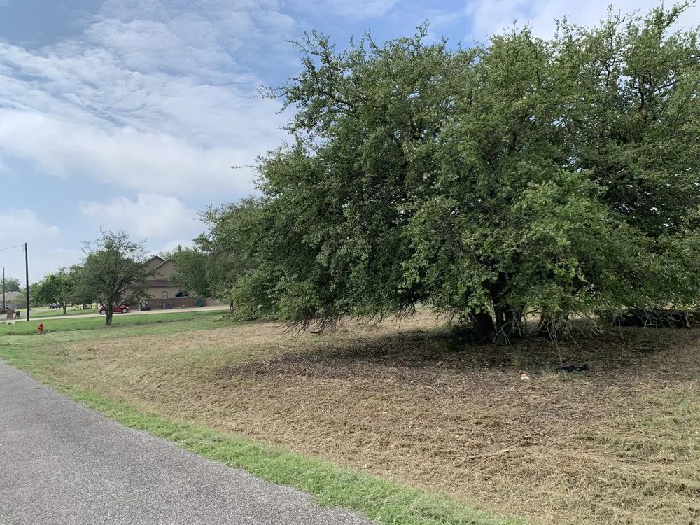 Professional yard cleanup service for beautiful yards across Temple, TX - Scalpel Lawn Service