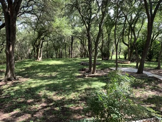 Scalpel Lawn Service Logo