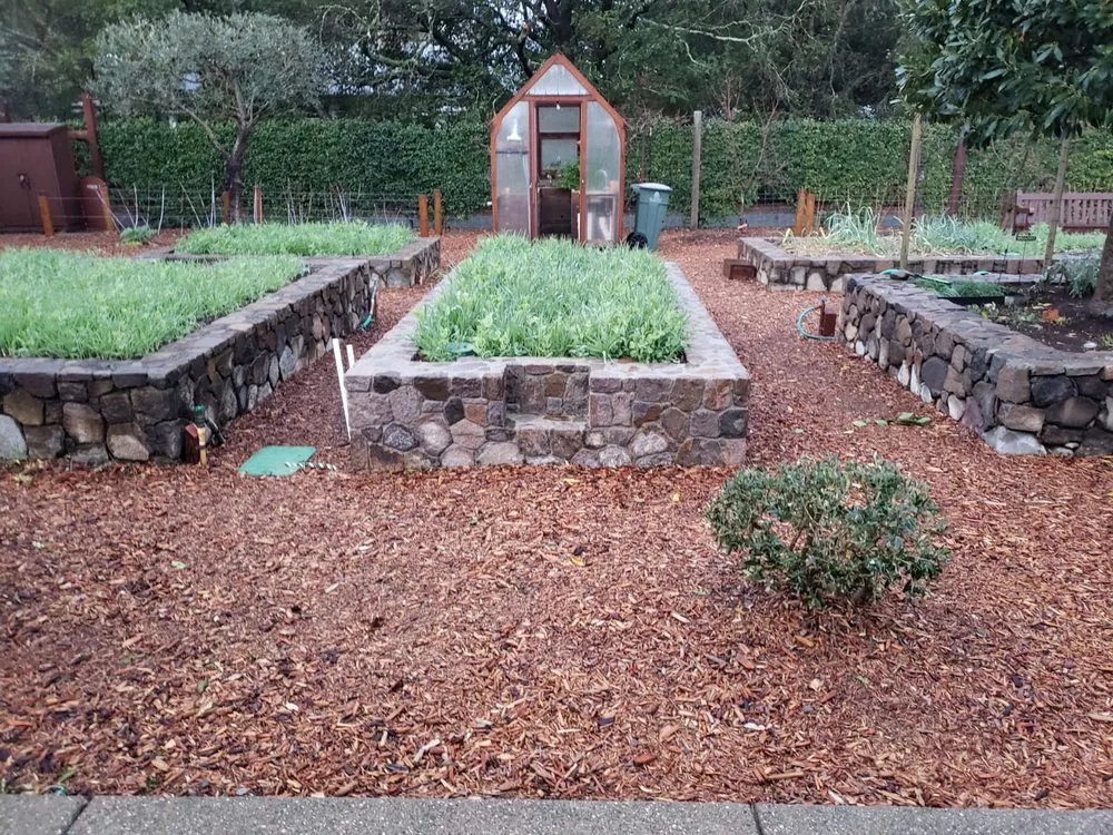 Top-rated lawn mowing service for year-round maintenance in Sonoma, CA by Scandia Landscaping