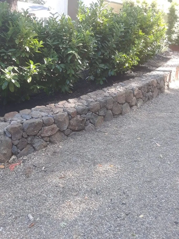 Professional yard cleanup service in Sonoma, CA by Scandia Landscaping