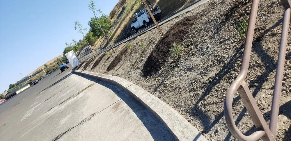 Professional residential landscaping experts serving Sonoma, CA - Scandia Landscaping